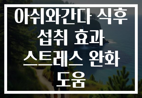아쉬와간다 식후 섭취 효과 스트레스 완화 도움