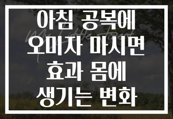 아침 공복에 오미자 마시면 효과 몸에 생기는 변화