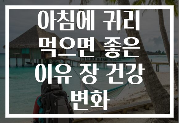 아침에 귀리 먹으면 좋은 이유 장 건강 변화