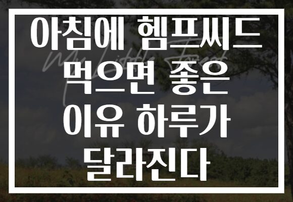 아침에 헴프씨드 먹으면 좋은 이유 하루가 달라진다