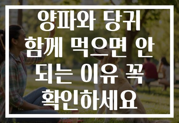 양파와 당귀 함께 먹으면 안 되는 이유 꼭 확인하세요