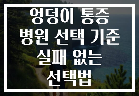 엉덩이 통증 병원 선택 기준 실패 없는 선택법
