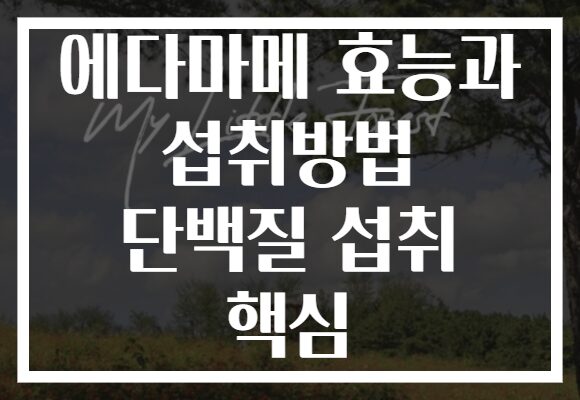 에다마메 효능과 섭취방법 단백질 섭취 핵심