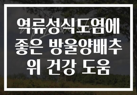 역류성식도염에 좋은 방울양배추 위 건강 도움
