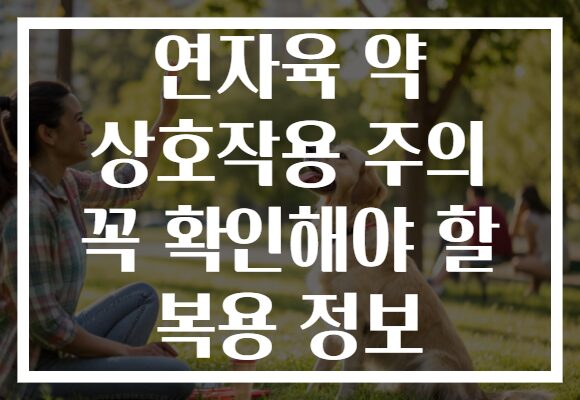 연자육 약 상호작용 주의 꼭 확인해야 할 복용 정보