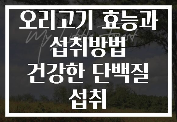 오리고기 효능과 섭취방법 건강한 단백질 섭취
