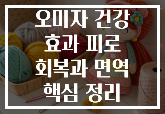 오미자 건강 효과 피로 회복과 면역 핵심 정리