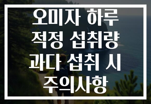 오미자 하루 적정 섭취량 과다 섭취 시 주의사항
