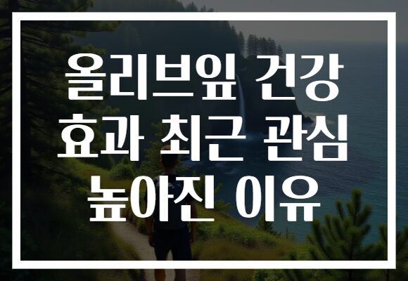 올리브잎 건강 효과 최근 관심 높아진 이유