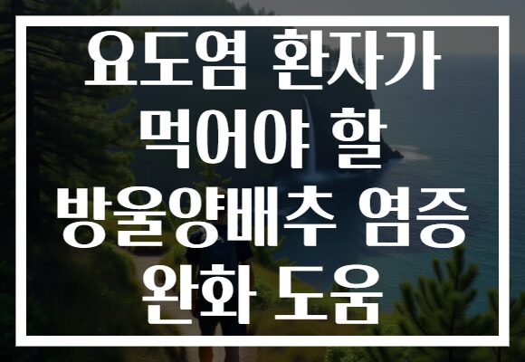 요도염 환자가 먹어야 할 방울양배추 염증 완화 도움