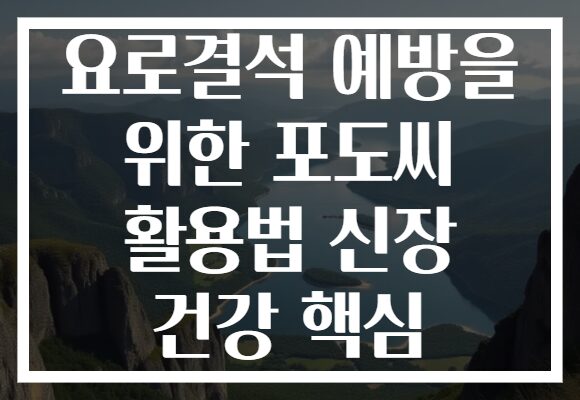 요로결석 예방을 위한 포도씨 활용법 신장 건강 핵심
