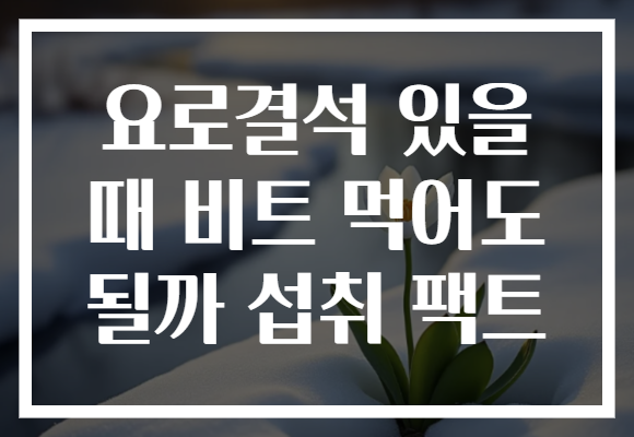 요로결석 있을 때 비트 먹어도 될까 섭취 팩트