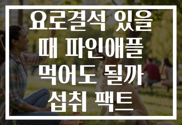 요로결석 있을 때 파인애플 먹어도 될까 섭취 팩트