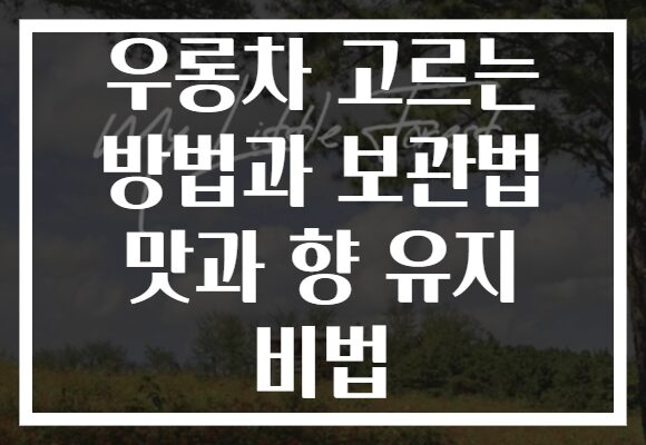 우롱차 고르는 방법과 보관법 맛과 향 유지 비법