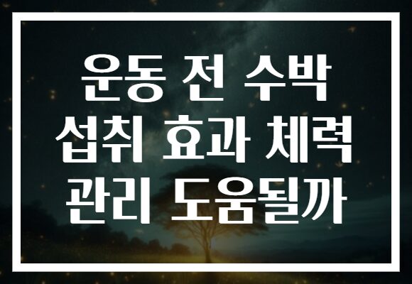 운동 전 수박 섭취 효과 체력 관리 도움될까
