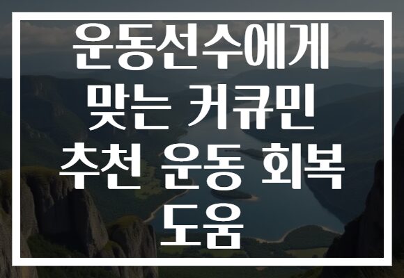 운동선수에게 맞는 커큐민 추천 운동 회복 도움