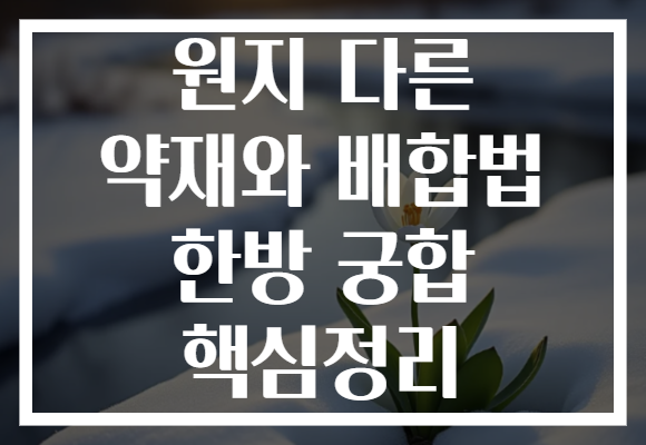 원지 다른 약재와 배합법 한방 궁합 핵심정리