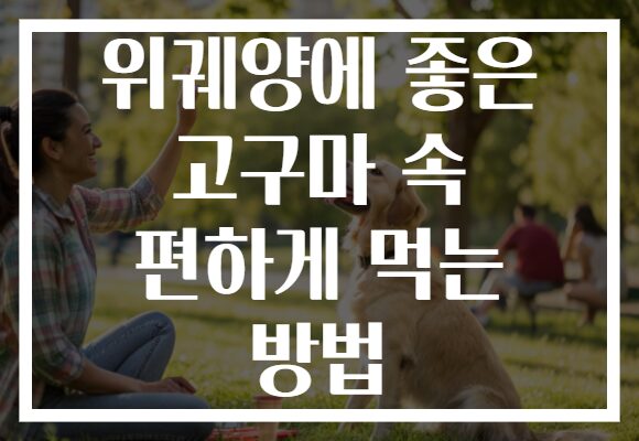 위궤양에 좋은 고구마 속 편하게 먹는 방법