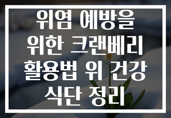 위염 예방을 위한 크랜베리 활용법 위 건강 식단 정리