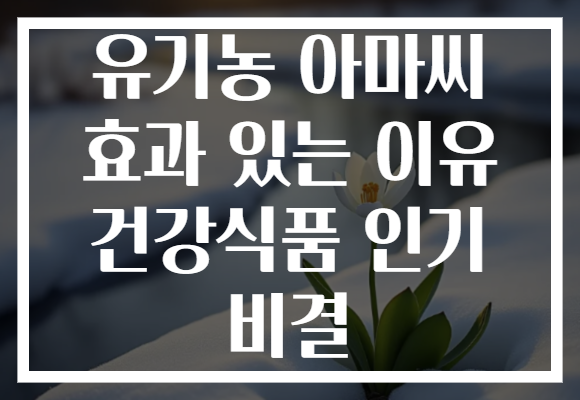 유기농 아마씨 효과 있는 이유 건강식품 인기 비결