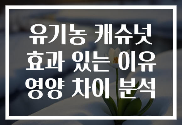 유기농 캐슈넛 효과 있는 이유 영양 차이 분석