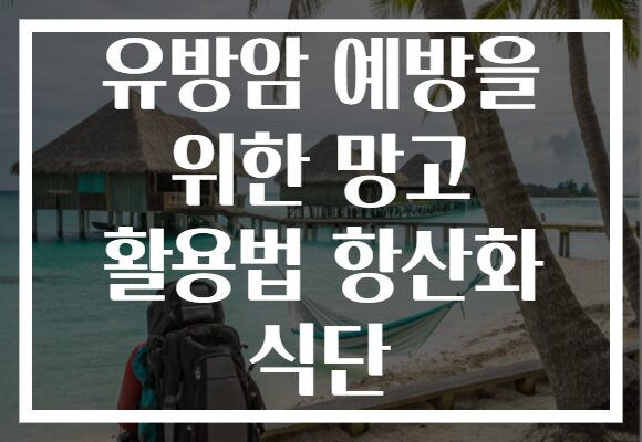유방암 예방을 위한 망고 활용법 항산화 식단