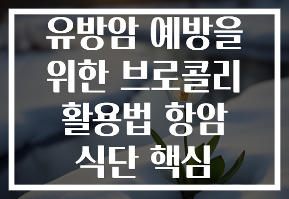 유방암 예방을 위한 브로콜리 활용법 항암 식단 핵심