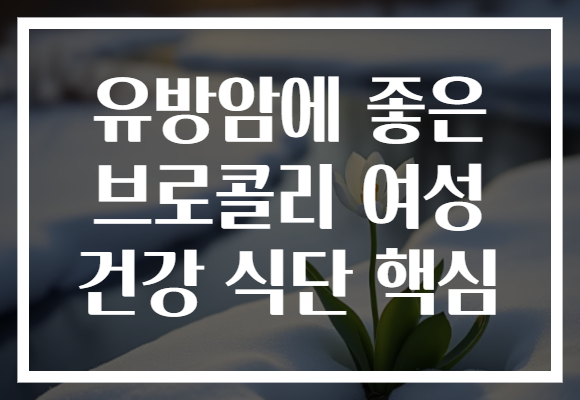 유방암에 좋은 브로콜리 여성 건강 식단 핵심