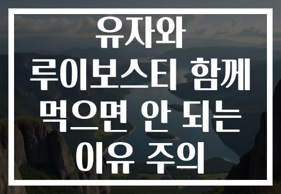 유자와 루이보스티 함께 먹으면 안 되는 이유 주의