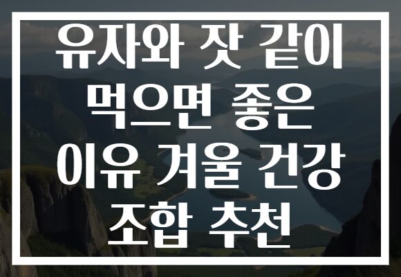 유자와 잣 같이 먹으면 좋은 이유 겨울 건강 조합 추천