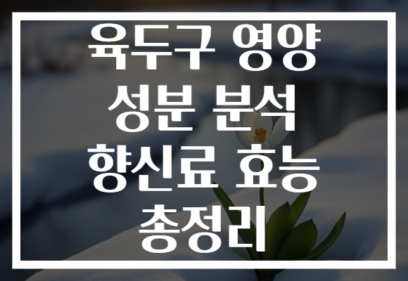 육두구 영양 성분 분석 향신료 효능 총정리