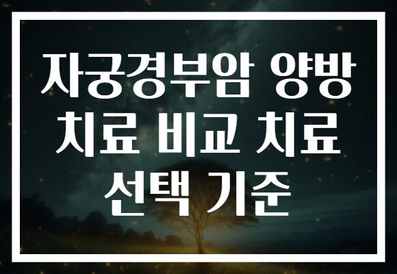 자궁경부암 양방 치료 비교 치료 선택 기준