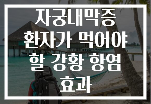 자궁내막증 환자가 먹어야 할 강황 항염 효과