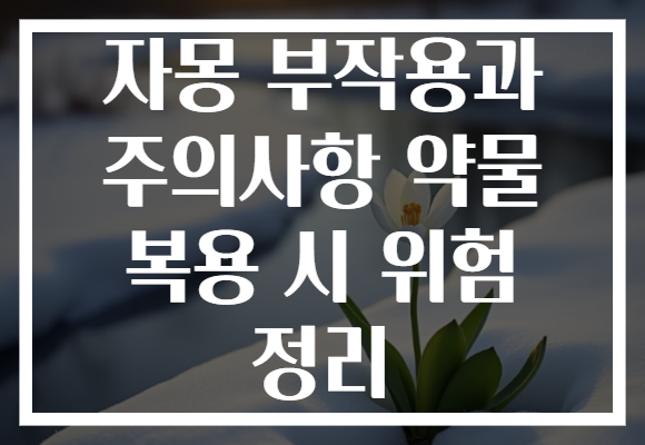자몽 부작용과 주의사항 약물 복용 시 위험 정리