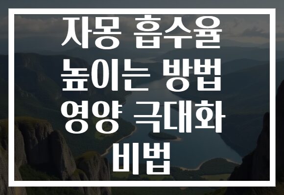 자몽 흡수율 높이는 방법 영양 극대화 비법