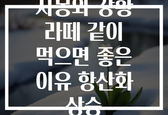 자몽와 강황 라떼 같이 먹으면 좋은 이유 항산화 상승