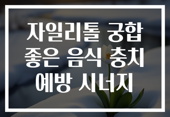 자일리톨 궁합 좋은 음식 충치 예방 시너지