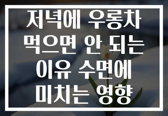 저녁에 우롱차 먹으면 안 되는 이유 수면에 미치는 영향