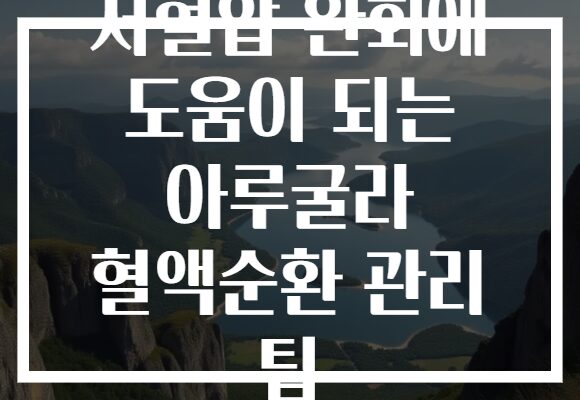 저혈압 완화에 도움이 되는 아루굴라 혈액순환 관리 팁