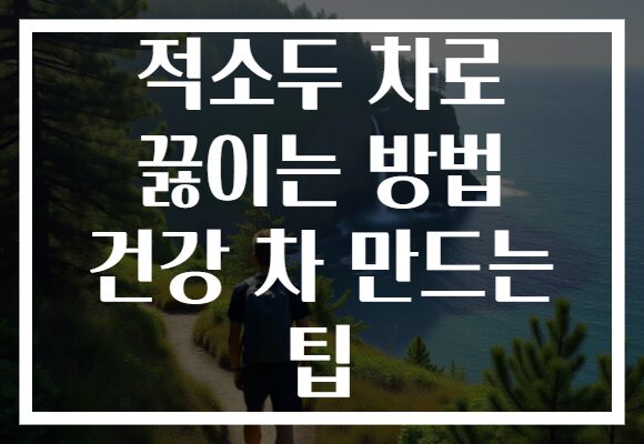 적소두 차로 끓이는 방법 건강 차 만드는 팁