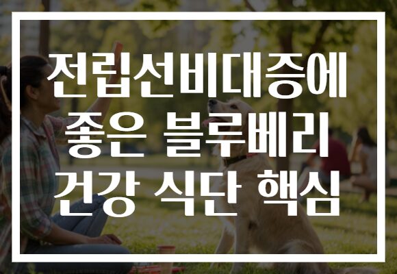 전립선비대증에 좋은 블루베리 건강 식단 핵심