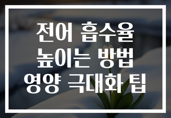 전어 흡수율 높이는 방법 영양 극대화 팁