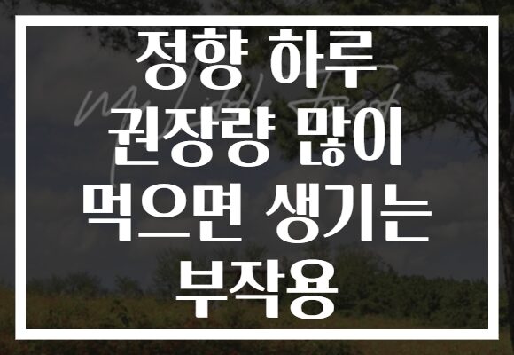 정향 하루 권장량 많이 먹으면 생기는 부작용