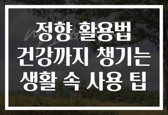 정향 활용법 건강까지 챙기는 생활 속 사용 팁