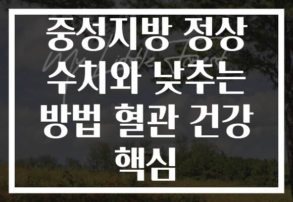 중성지방 정상 수치와 낮추는 방법 혈관 건강 핵심