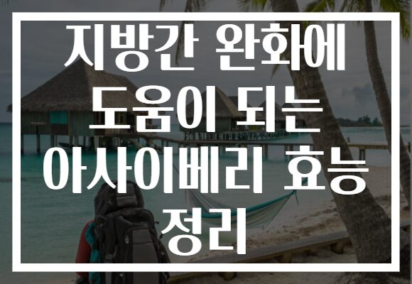지방간 완화에 도움이 되는 아사이베리 효능 정리