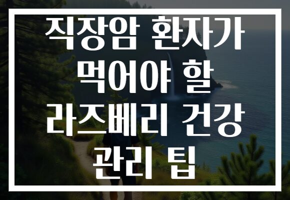 직장암 환자가 먹어야 할 라즈베리 건강 관리 팁