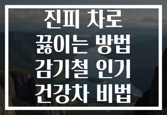 진피 차로 끓이는 방법 감기철 인기 건강차 비법