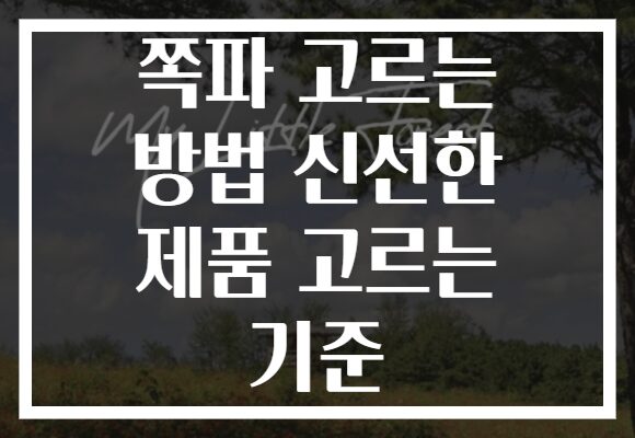 쪽파 고르는 방법 신선한 제품 고르는 기준