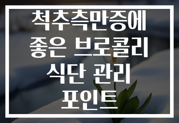 척추측만증에 좋은 브로콜리 식단 관리 포인트